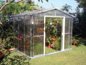 Get A Great Backyard Greenhouse