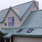 Painted Metal Roofing Business House